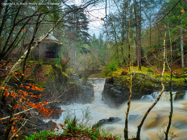 The Hermitage, Dunkeld, Perthshire  Picture Board by Navin Mistry