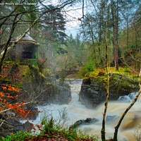 Buy canvas prints of The Hermitage, Dunkeld, Perthshire  by Navin Mistry