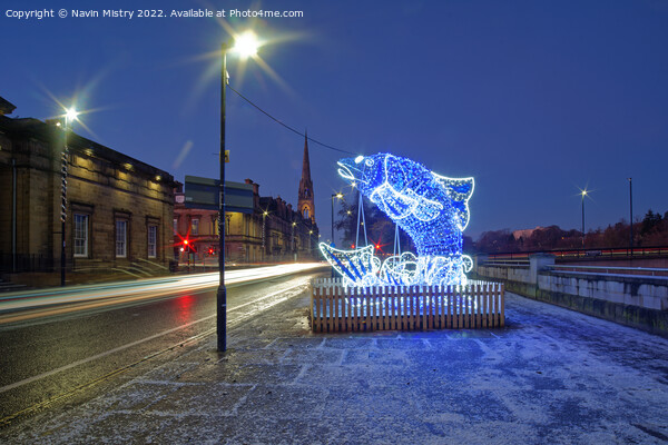 Illuminated Salmon, Tay Street, Perth Picture Board by Navin Mistry