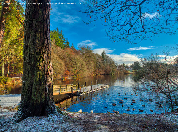 A view of Loch Faskally, Pitlochry Picture Board by Navin Mistry