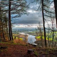 Buy canvas prints of The River Tay seen from a clearing on Kinnoull Hill  by Navin Mistry