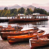Buy canvas prints of Rowing Boats on Derwent Water by Navin Mistry
