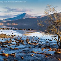 Buy canvas prints of A view of Schiehallion and Loch Rannoch by Navin Mistry