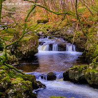 Buy canvas prints of The River Lednock, Comrie, Perthshire by Navin Mistry