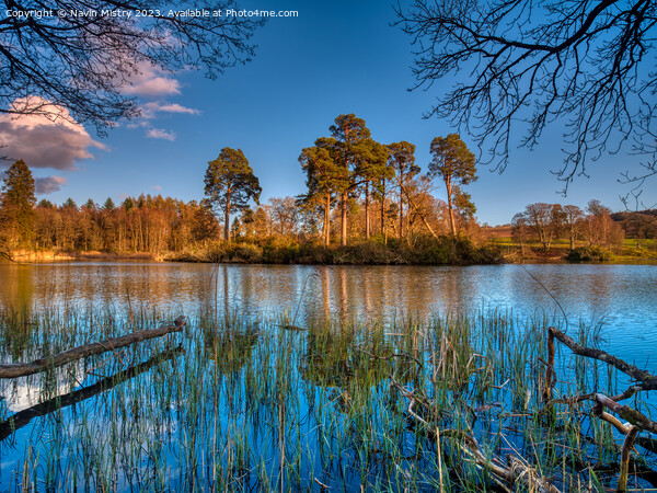A view of Loch Monzievaird Picture Board by Navin Mistry