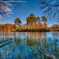 Buy canvas prints of A view of Loch Monzievaird by Navin Mistry