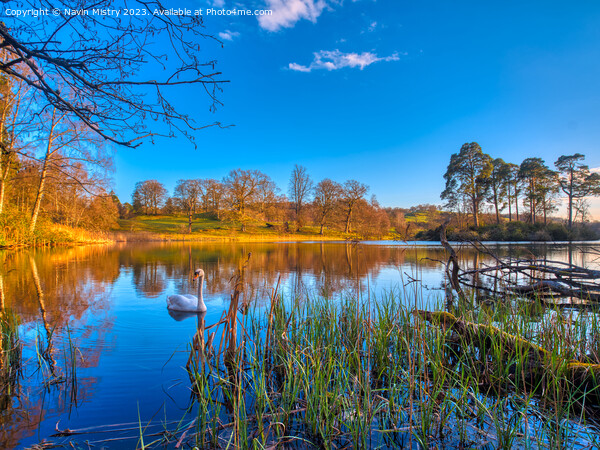 A view Loch Monzievaird near Crief and Comrie Perthshire  Picture Board by Navin Mistry