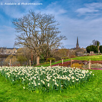 Buy canvas prints of Spring and the Riverside Park, Perth, Scotland by Navin Mistry