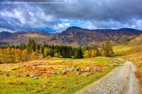 A view of Glen Lednock, Perthshire Picture Board by Navin Mistry