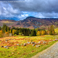 Buy canvas prints of A view of Glen Lednock, Perthshire by Navin Mistry