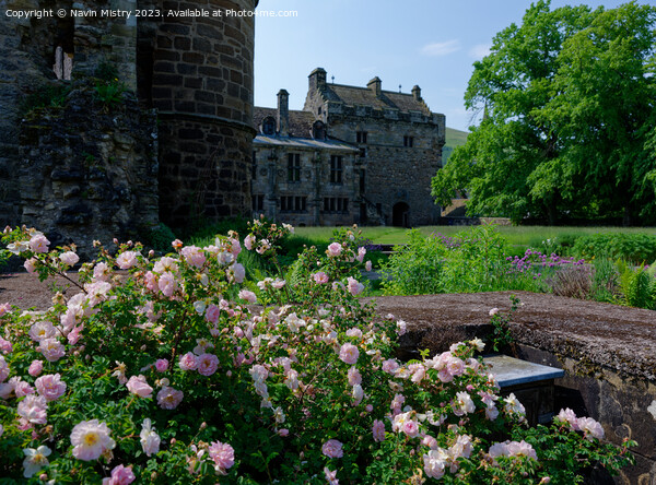 Falkland Palace Gardens,  Picture Board by Navin Mistry
