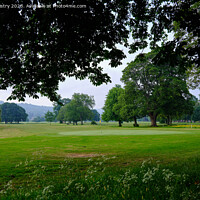 Buy canvas prints of North Inch Golf Course, Perth by Navin Mistry