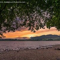 Buy canvas prints of Lake of Menteith Sunset by Navin Mistry