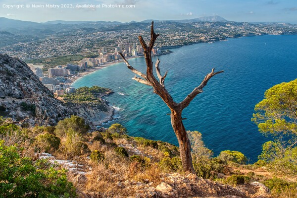 A view of Calpe from the Peñón de Ifach Picture Board by Navin Mistry