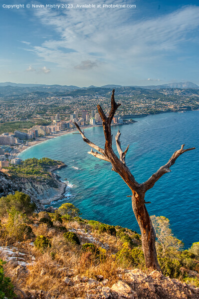 A view of Calpe from the Peñón de Ifach  Picture Board by Navin Mistry