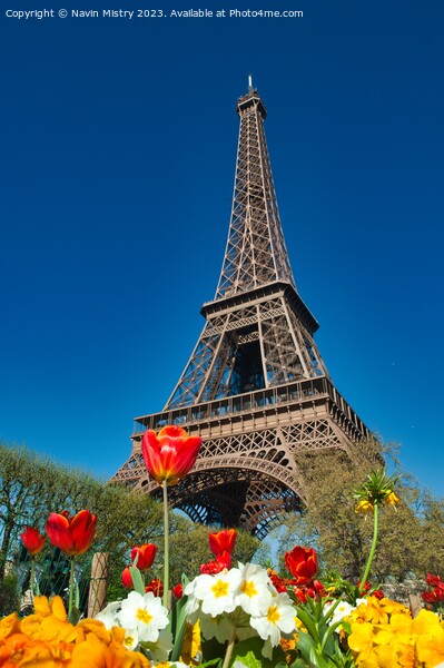 Spring Flowers and the Eiffel Tower Picture Board by Navin Mistry
