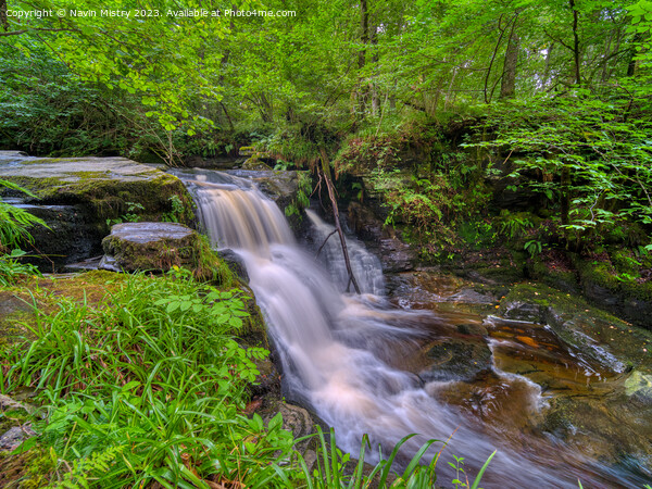 A water fall on the Edradour Burn, Pitlochry Picture Board by Navin Mistry