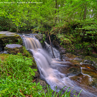 Buy canvas prints of A water fall on the Edradour Burn, Pitlochry by Navin Mistry