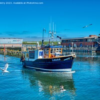 Buy canvas prints of A Fishing Boat arrives in Eyemouth Harbour by Navin Mistry