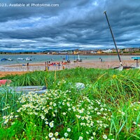 Buy canvas prints of Elie Beach, Fife Scotland by Navin Mistry