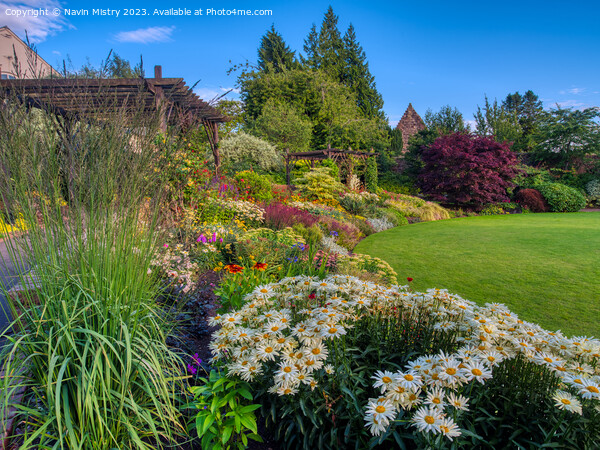The Rodney Gardens Perth Scotland Summer    Picture Board by Navin Mistry