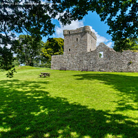 Buy canvas prints of Loch Leven Castle by Navin Mistry