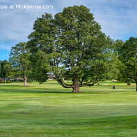 Buy canvas prints of Murrayshall Golf Course Panorama by Navin Mistry
