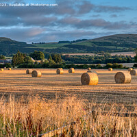 Buy canvas prints of Haybales in the Evening Light Bridge of Earn by Navin Mistry