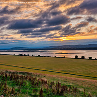 Buy canvas prints of Evening light on the Tay at Newburgh, Fife by Navin Mistry