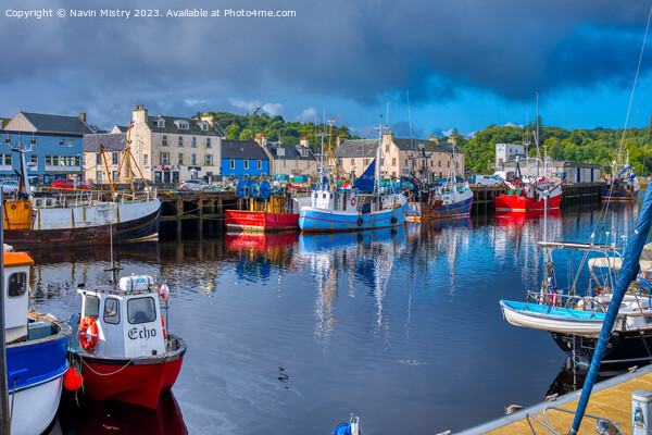Stornoway  Harbour, Isle of Lewis  Picture Board by Navin Mistry