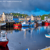 Buy canvas prints of Stornoway  Harbour, Isle of Lewis  by Navin Mistry