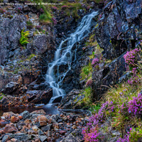 Buy canvas prints of A Waterfall and Heather by Navin Mistry