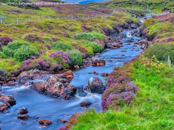 A heather lined Stream, Isle of Harris Picture Board by Navin Mistry