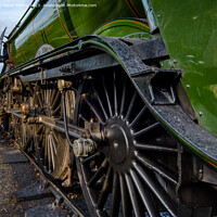Buy canvas prints of The Flying Scotsman at Boat of Garten by Navin Mistry