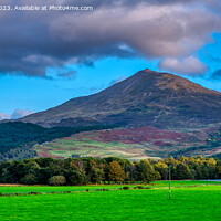 Buy canvas prints of A view Schiehallion by Navin Mistry
