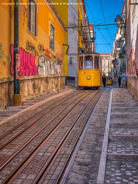 Lisbon Portugal Tramway Network Picture Board by Navin Mistry