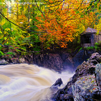 Buy canvas prints of Autumn colours at the Hermitage.   by Navin Mistry