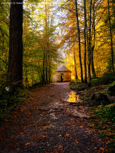 The Hermitage and Autumn Colours Picture Board by Navin Mistry
