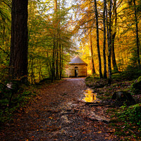 Buy canvas prints of The Hermitage and Autumn Colours by Navin Mistry