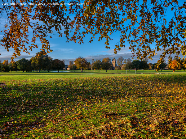 Autumn Colours of the South Inch, Perth Picture Board by Navin Mistry