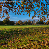 Buy canvas prints of Autumn Colours of the South Inch, Perth by Navin Mistry