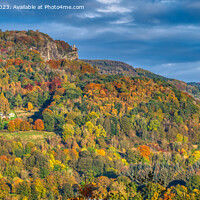 Buy canvas prints of Autumn Colours of Kinnoull Hill, Perth by Navin Mistry
