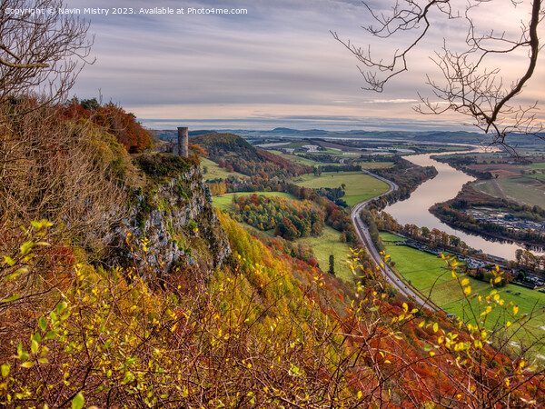 Kinnoull Hill Autumn Picture Board by Navin Mistry