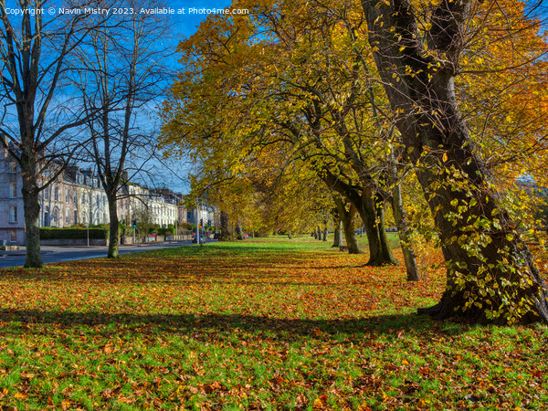 Autumn and the South Inch, Perth Picture Board by Navin Mistry