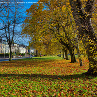 Buy canvas prints of Autumn and the South Inch, Perth by Navin Mistry