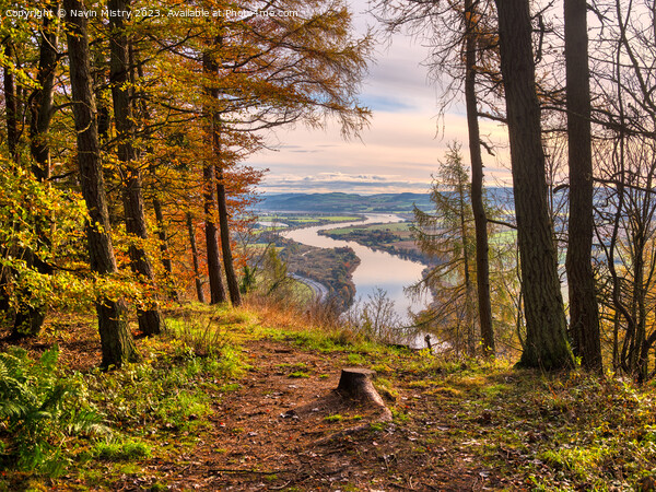 Kinnoull Hill View Point  Picture Board by Navin Mistry