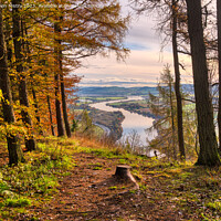 Buy canvas prints of Kinnoull Hill View Point  by Navin Mistry