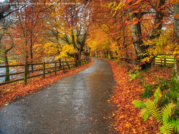 Autumn and the Road through Glen Lyon Picture Board by Navin Mistry