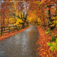 Buy canvas prints of Autumn and the Road through Glen Lyon by Navin Mistry