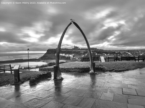 Whitby Whale Bones Arch Picture Board by Navin Mistry